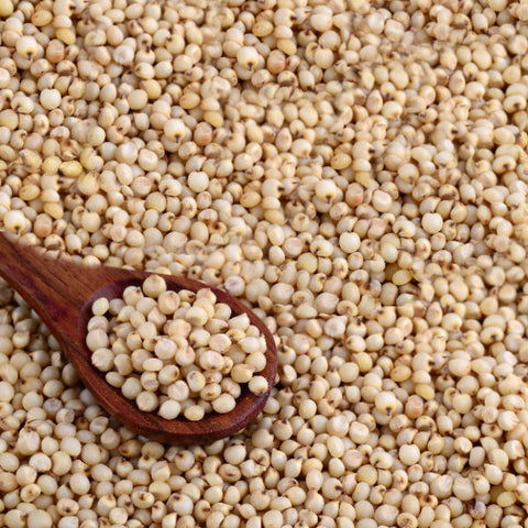 Myco Labs bulk organic white sorghum (milo) grain, 20 pounds