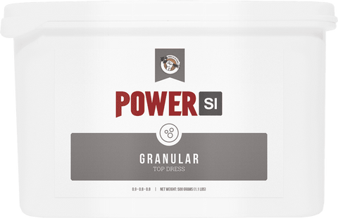 PowerSi Granular bag, 2 kilograms