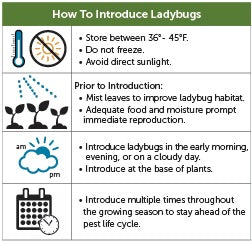 Tip Top ladybug release bag, usage instructions