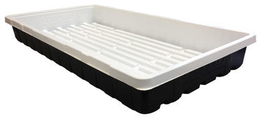 Mondi Black and White Premium 10x20 Propagation Tray