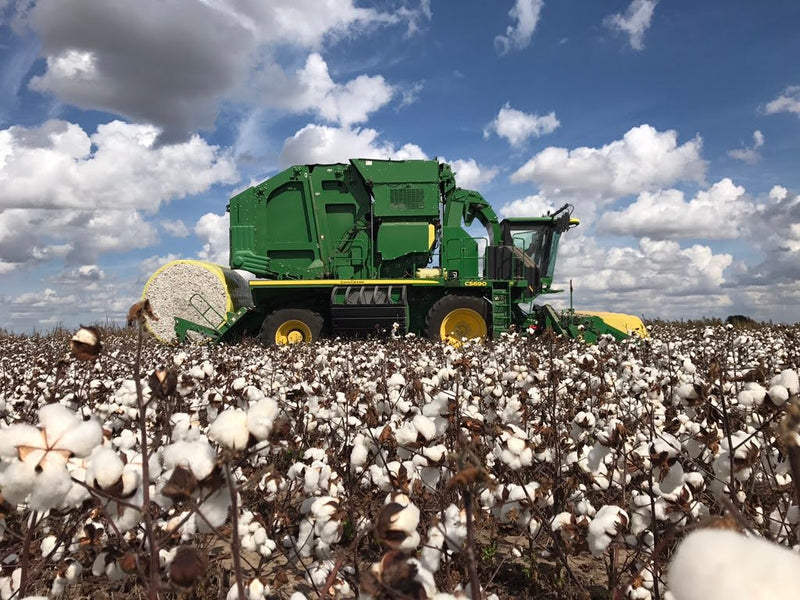 Load image into Gallery viewer, Raw Cotton Stuffing/Batting, All Natural
