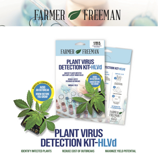 Farmer Freeman HLVD plant virus test kit, single pack