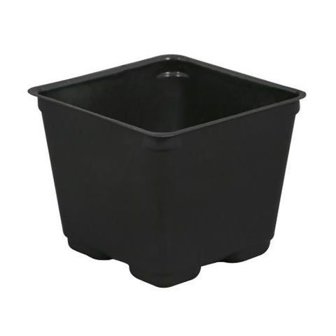 Gro Pro 4-inch black square plastic nursery pot