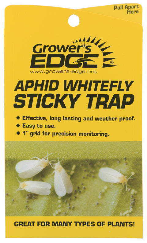 Grower's Edge yellow aphid and whitefly sticky trap, 5-pack, front