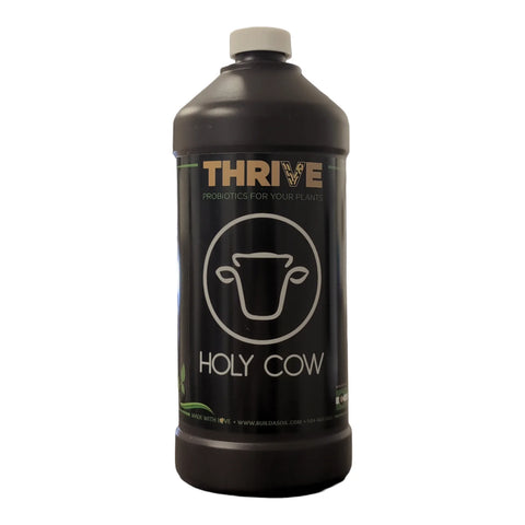 BuildASoil Thrive Holy Cow probiotic concentrate bottle