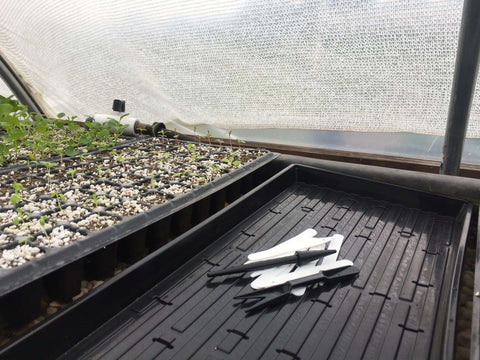 Widger Dibber Set, additional product view 2