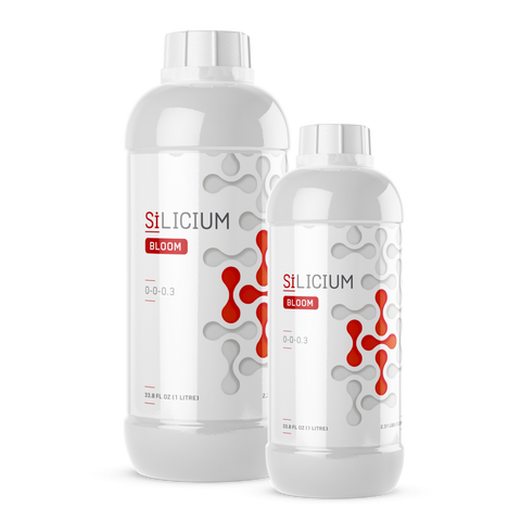 SiLICIUM Bloom silicon supplement bottle