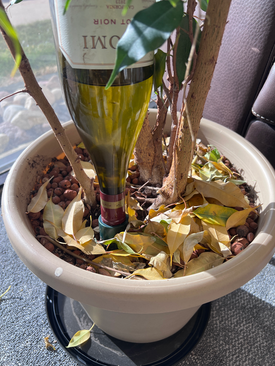 Blumat Easy + Bottle Adapter