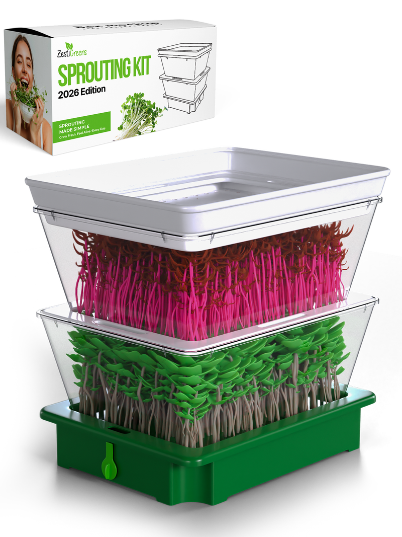Load image into Gallery viewer, ZESTIGREENS Tiered Sprouting Kit with Drain Spout – Stackable Seed Sprouter Trays for Growing Fresh Sprouts at Home – BPA-Free, Easy Rinse &amp; Drain System
