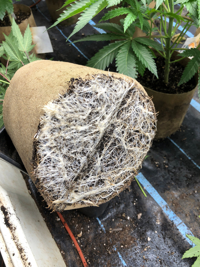 Load image into Gallery viewer, AquaMat Capillary Mat Systems
