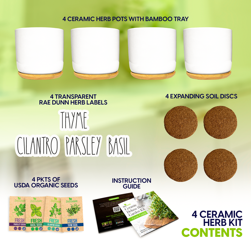 Load image into Gallery viewer, Ceramic Herb Kit

