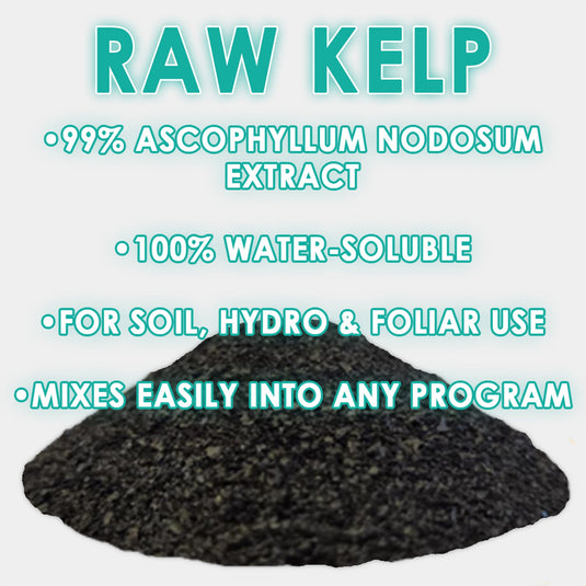 RAW Kelp | 99% Ascophyllum Nodosum Extract | Water-Soluble Biostimulant