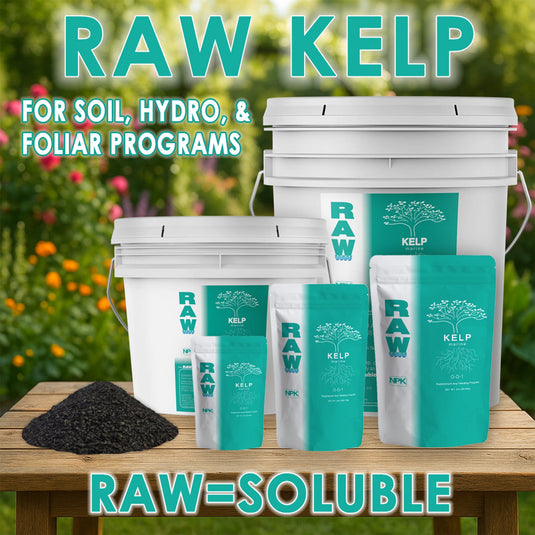 RAW Kelp | 99% Ascophyllum Nodosum Extract | Water-Soluble Biostimulant