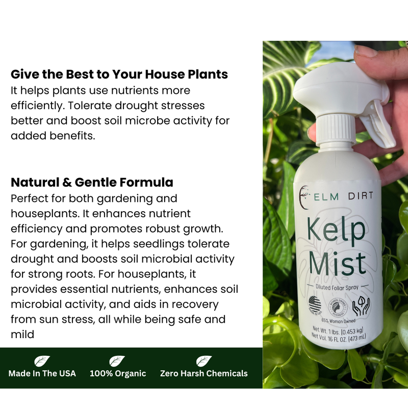 Load image into Gallery viewer, Kelp Mist Foliar Spray
