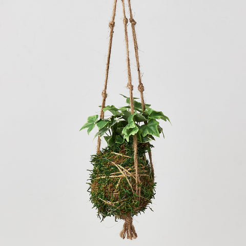 Kokedama Moss Ball Hanging Plant, additional product view 2