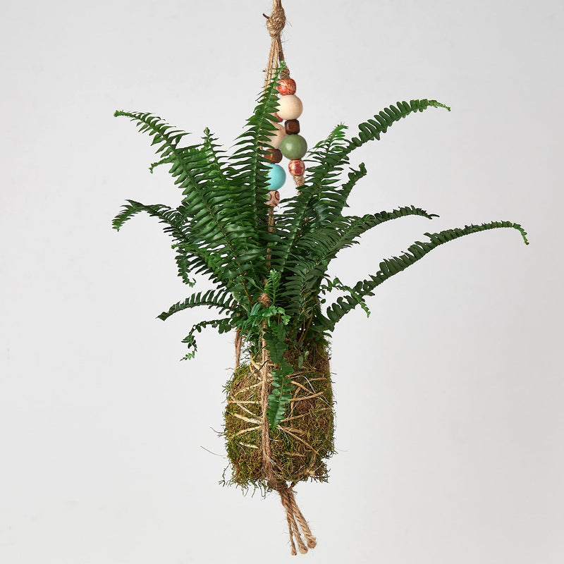 Load image into Gallery viewer, Bead Kokedama Moss Ball Hanging Plant
