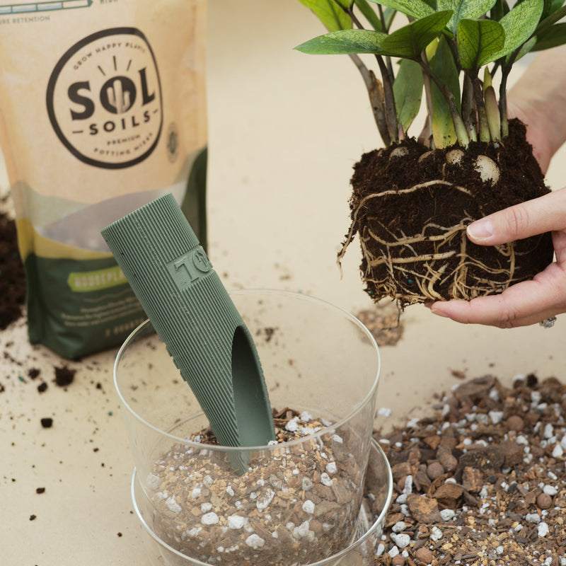 Load image into Gallery viewer, Houseplant Chunky Mix
