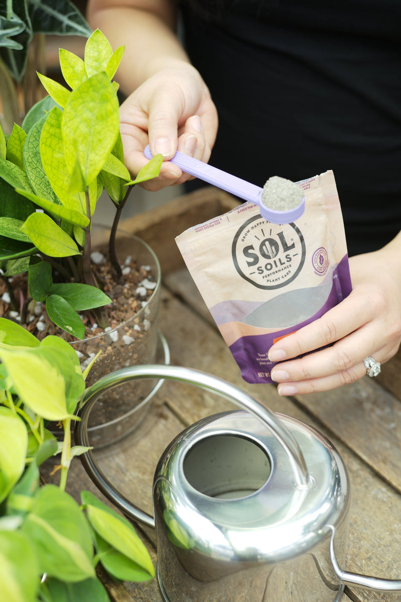 Load image into Gallery viewer, Product image of Sol Soils Sol Biotics Purple Powder Spoon - 1 Teaspoon, front
