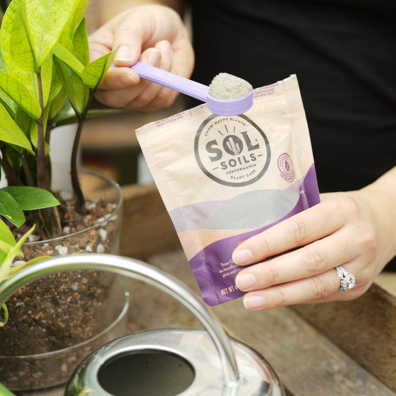 Load image into Gallery viewer, Sol Biotics - Repot Recovery - Repotting Shock Treatment (a Planti-Depressant, if you will…)
