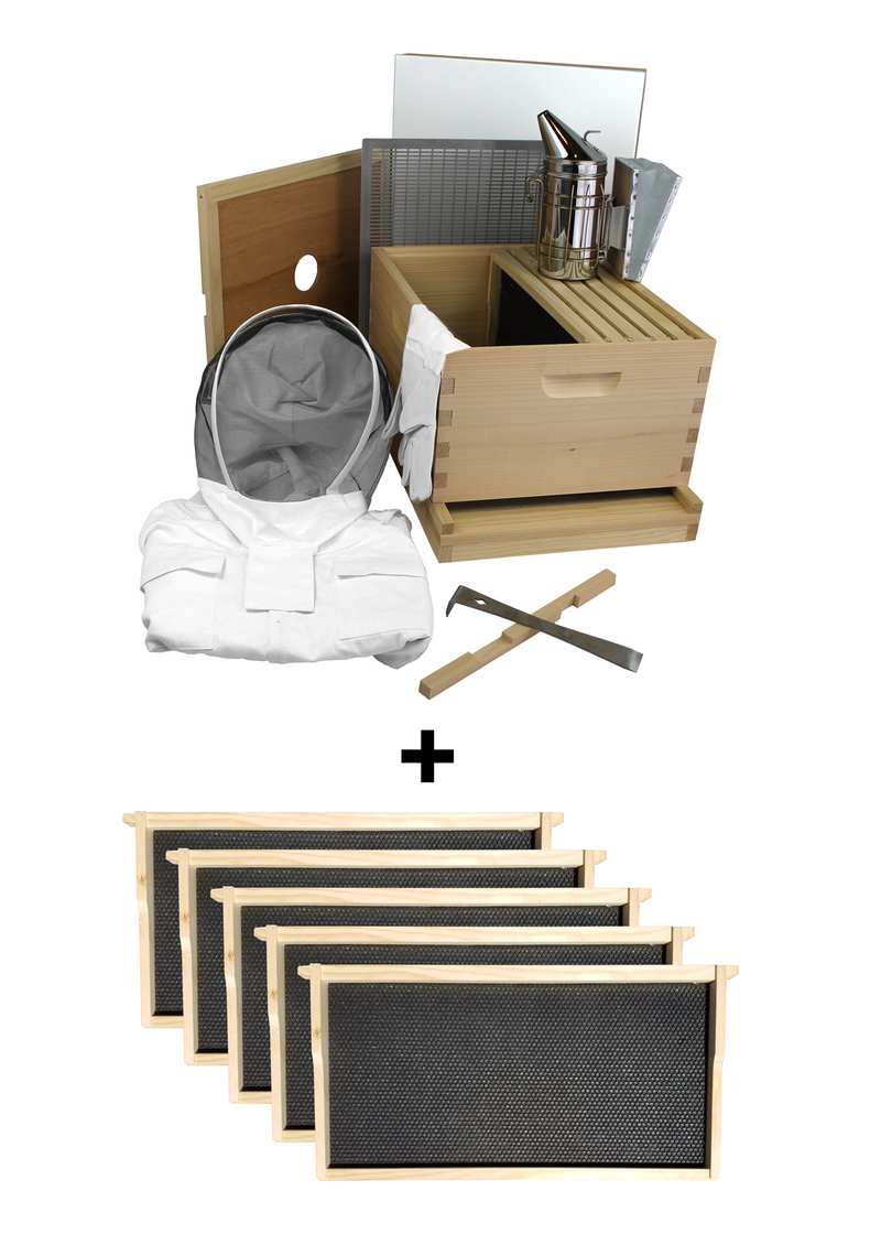 Load image into Gallery viewer, Amish-Made 10 Frame Beehive - Starter Kit
