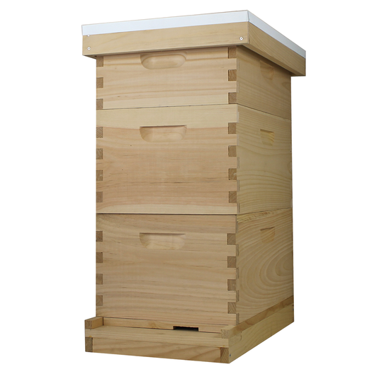 8 Frame Complete Beehive Kit – Fully Assembled & Painted (2 Deep & 1 Medium Boxes) Amish-Made with Frames & Wax-Coated Foundations