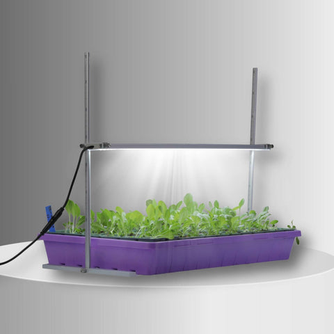 2 FT LED Grow Light with Stand from Bootstrap Farmer at GrowTime Garden Supply