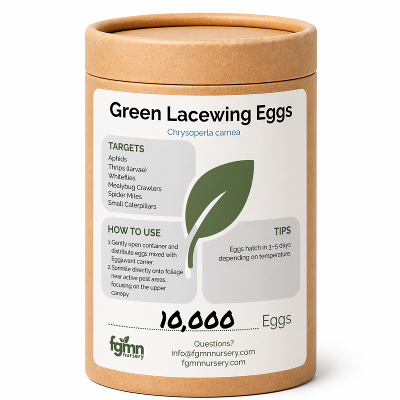 Load image into Gallery viewer, Green Lacewing Eggs
