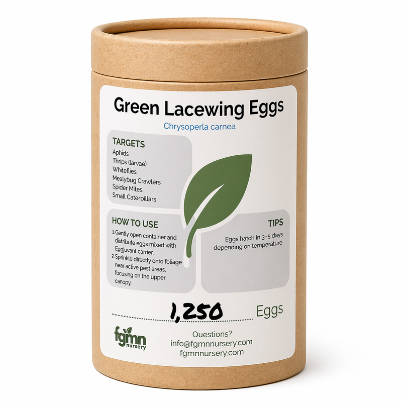 Load image into Gallery viewer, Green Lacewing Eggs
