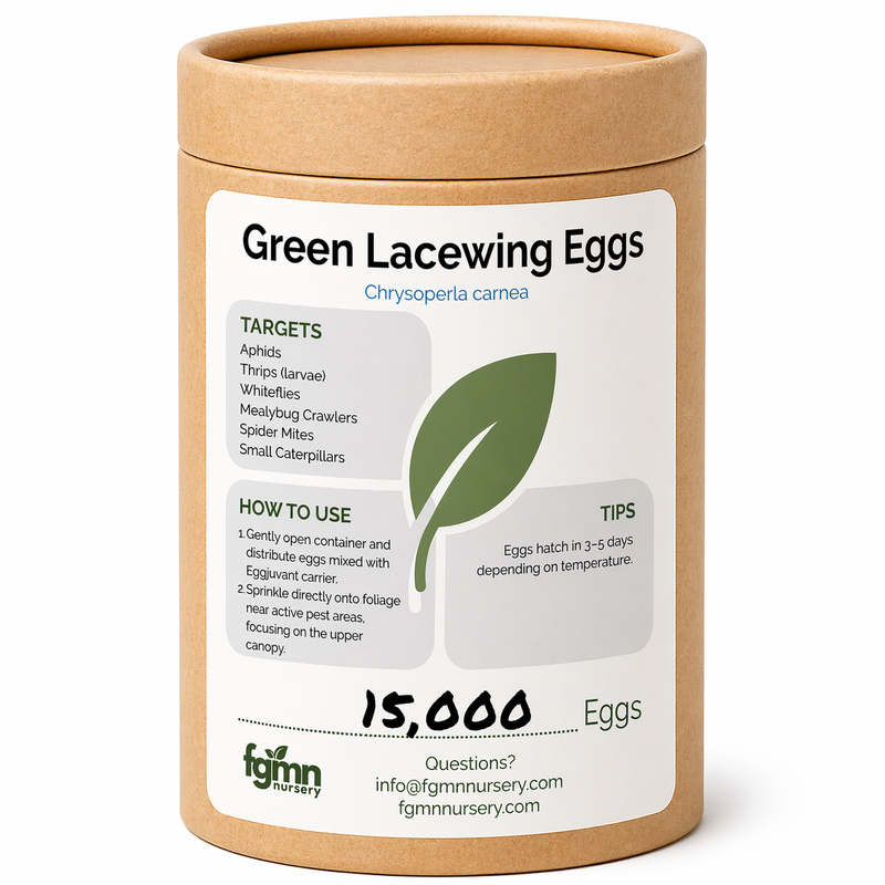 Load image into Gallery viewer, Green Lacewing Eggs
