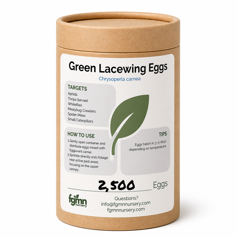 Load image into Gallery viewer, Green Lacewing Eggs
