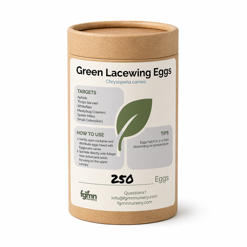 Load image into Gallery viewer, Green Lacewing Eggs
