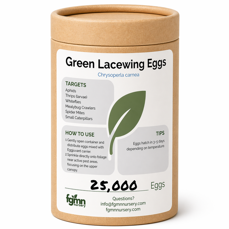Load image into Gallery viewer, Green Lacewing Eggs
