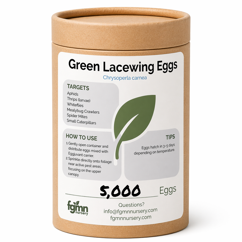 Load image into Gallery viewer, Green Lacewing Eggs
