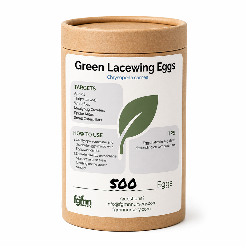 Load image into Gallery viewer, Green Lacewing Eggs
