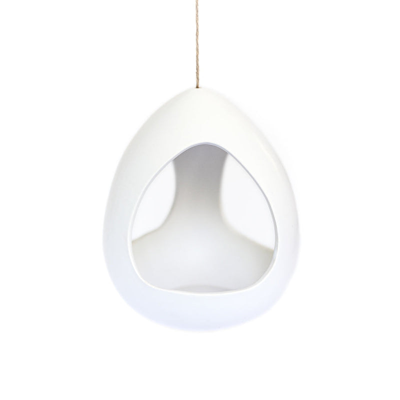 Load image into Gallery viewer, Large White Ceramic Hanging Pod with Two Assorted Tillandsia Plants
