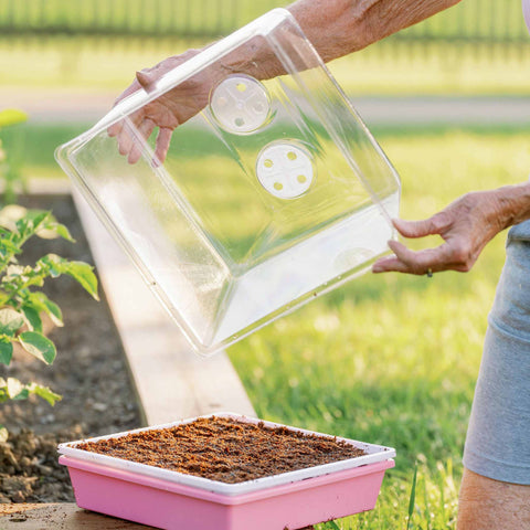 1010 Humidity Dome Tray Lids, shown in use