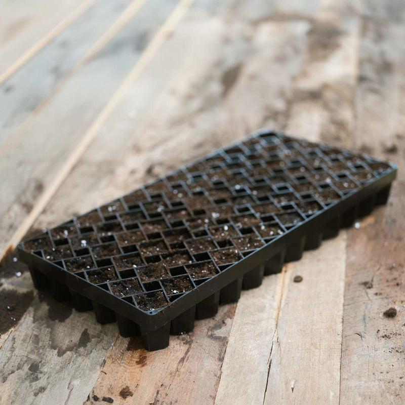 Load image into Gallery viewer, Air Prune Heavy Duty Propagation Tray - 72 Cell
