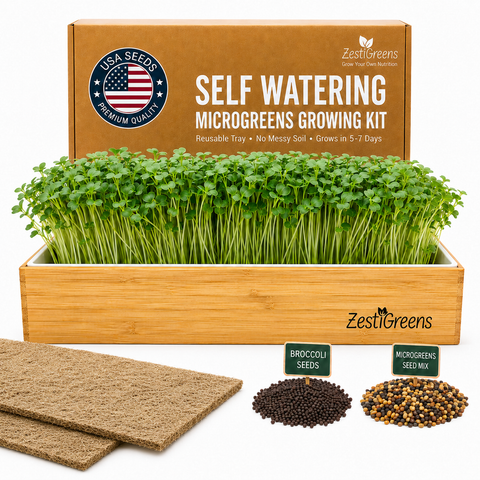 Self-watering microgreens growing kit with tray of fresh greens.