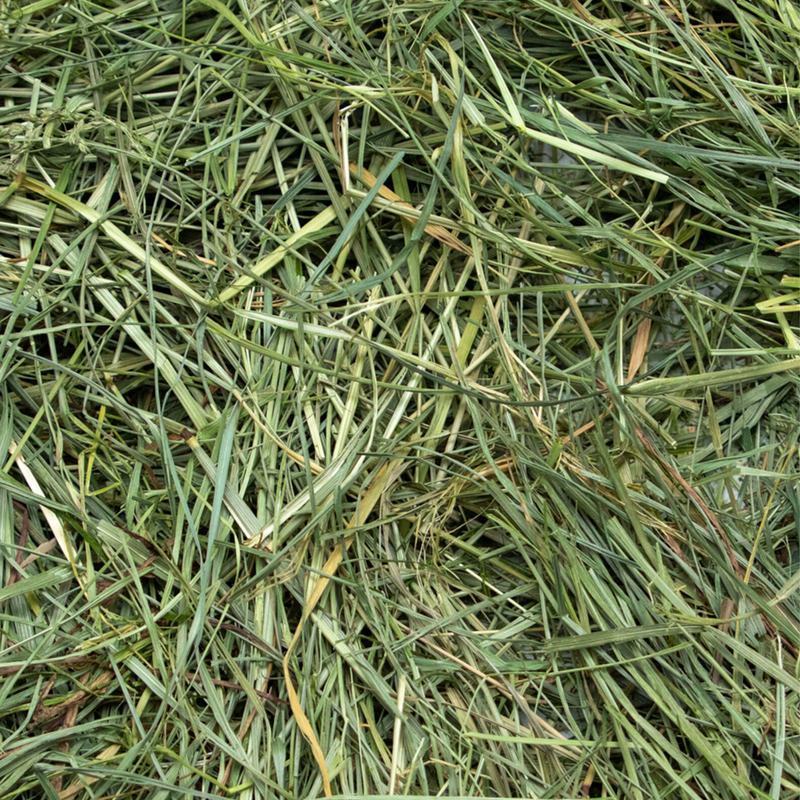 Load image into Gallery viewer, Rabbit Hole Hay Ultra Premium Mountain Grass
