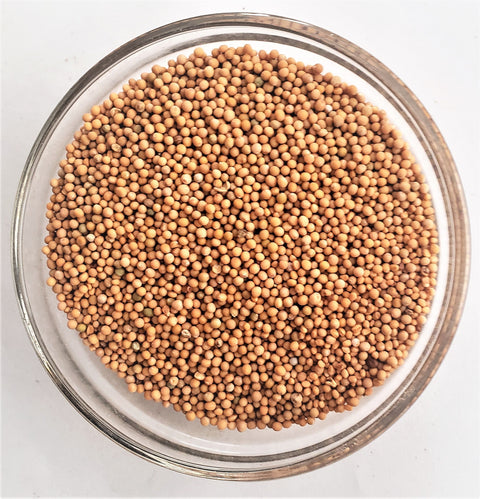 Mustard seed - non-gmo — The Soil Makers cover crop seed.