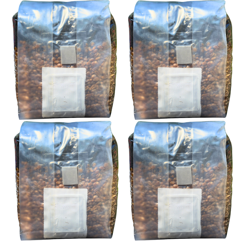 Load image into Gallery viewer, Mushroom Grow Kit - 4 Pack - All In One Mushroom Grow Bags
