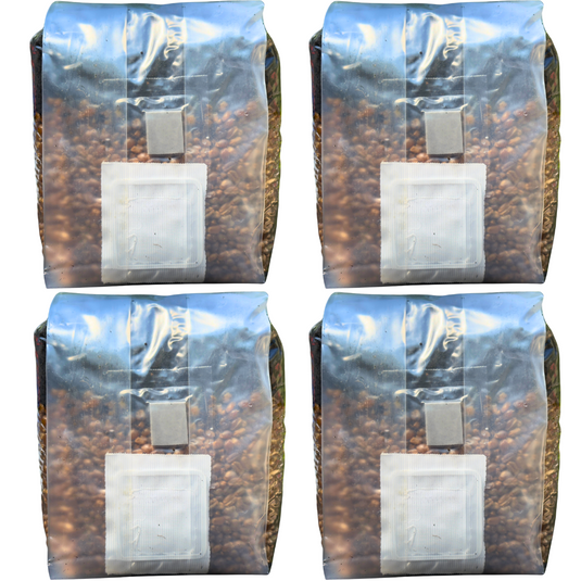 Mushroom Grow Kit - 4 Pack - All In One Mushroom Grow Bags