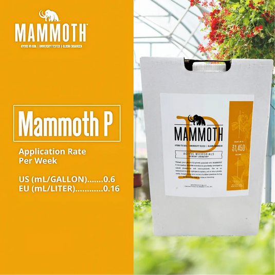 Mammoth P Active Microbials