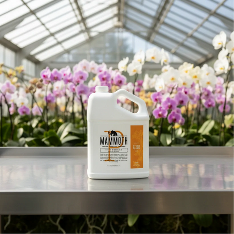 Mammoth P Active Microbials, additional product view 2