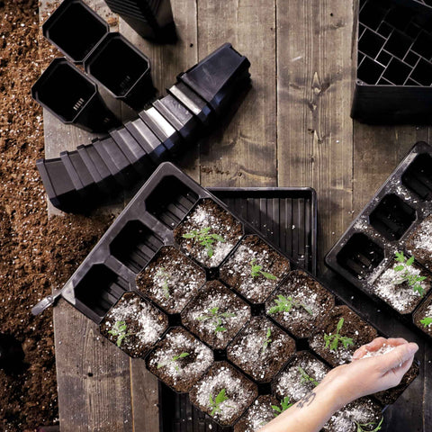 The Market Gardener Seed Starting Bundle, additional product view 2