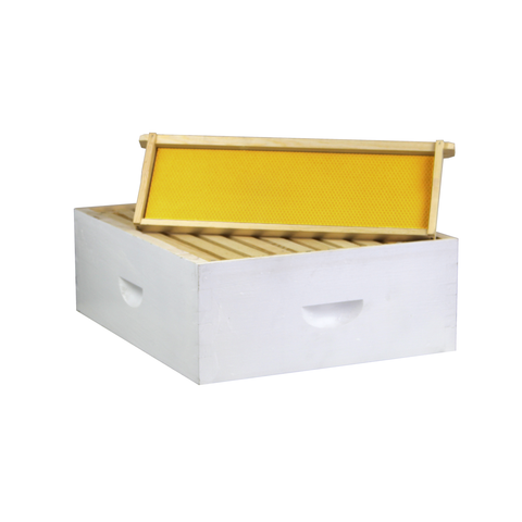 10-frame painted medium honey super, front