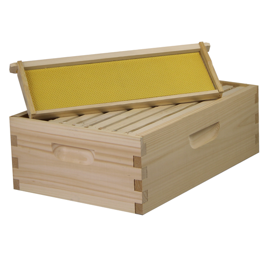 8 Frame Complete Beehive Kit – Fully Assembled & Painted (2 Deep & 1 Medium Boxes) Amish-Made with Frames & Wax-Coated Foundations