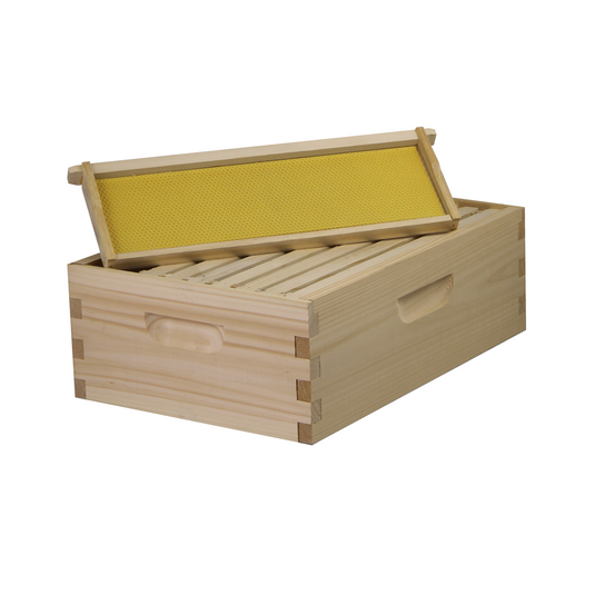 8 Frame Medium Honey Super – Amish-Made w/ Assembled Frames & Wax-Coated Foundations