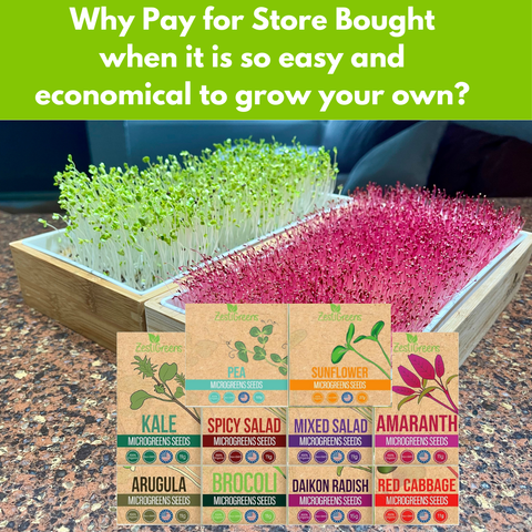 Organic Variety Pack Microgreens Seeds, additional product view 2
