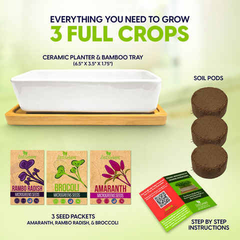Ceramic Microgreens Growing Kit to Grow 3 Crops Including Organic USDA Red Amaranth, Purple Rambo Radish & Broccoli Microgreens Seeds., additional…